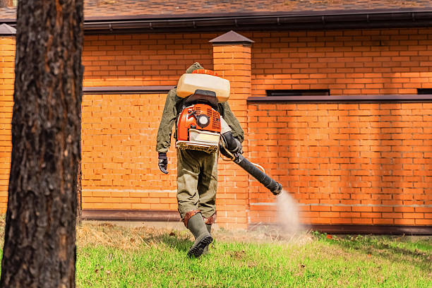 Bed Bug Clearance Verification and Documentation in Chadron